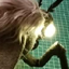 Moth